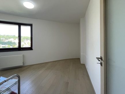 570.jpg