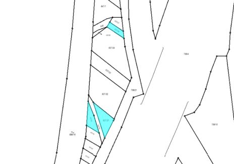 587.jpg